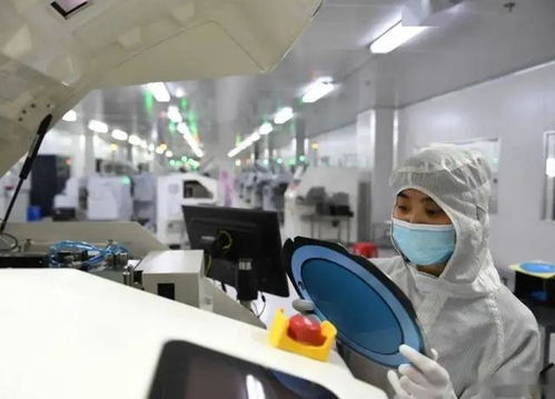 美专家 拜登需用尽所有手段,才能让美资撤离,令中国无芯片可用